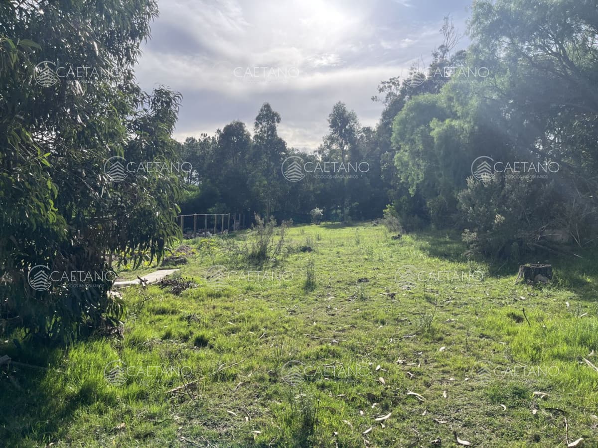 Venta terreno La Escondida. El tesoro La barra — foto 3