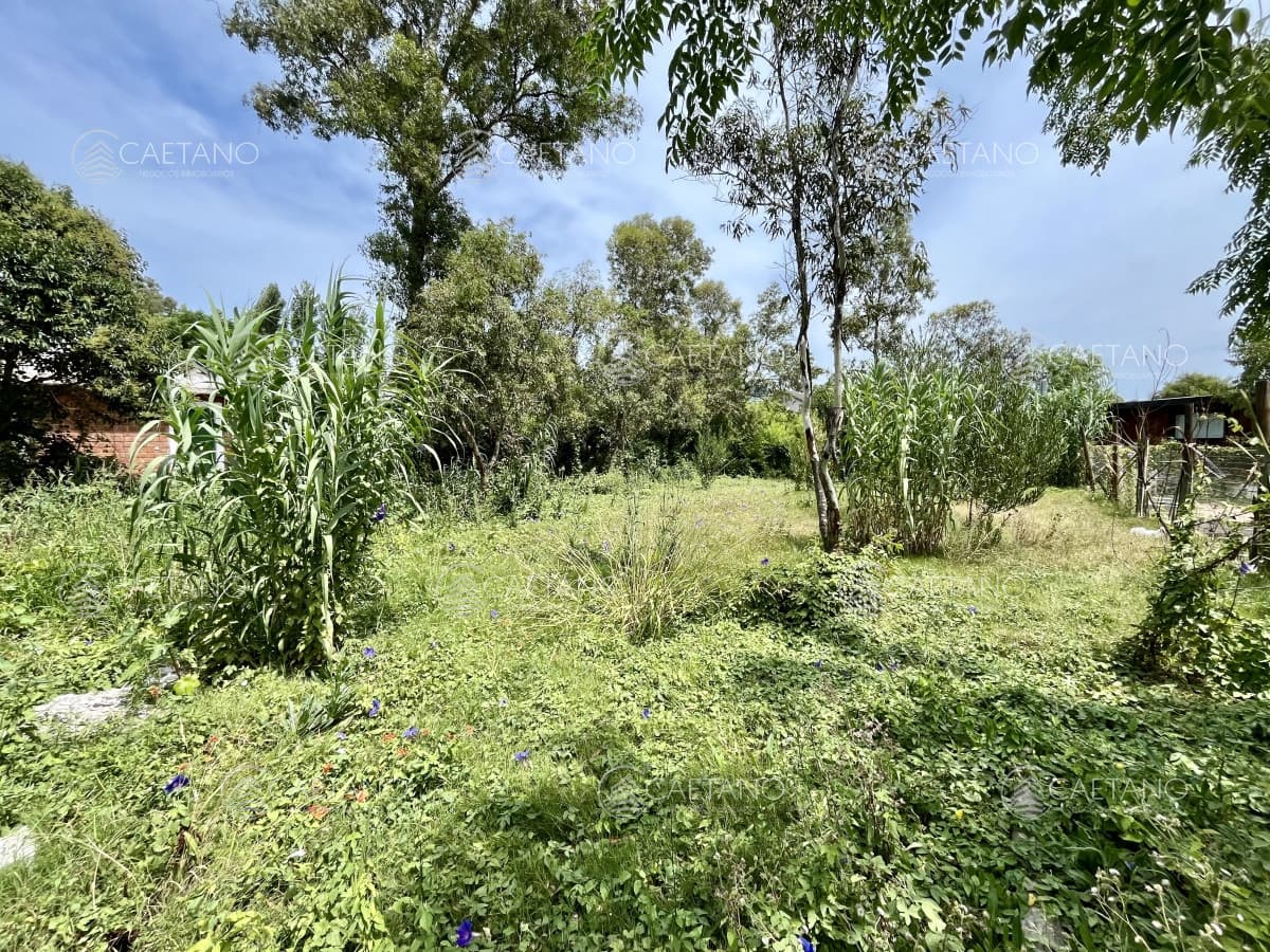 Terreno en venta El Tesoro — foto 3