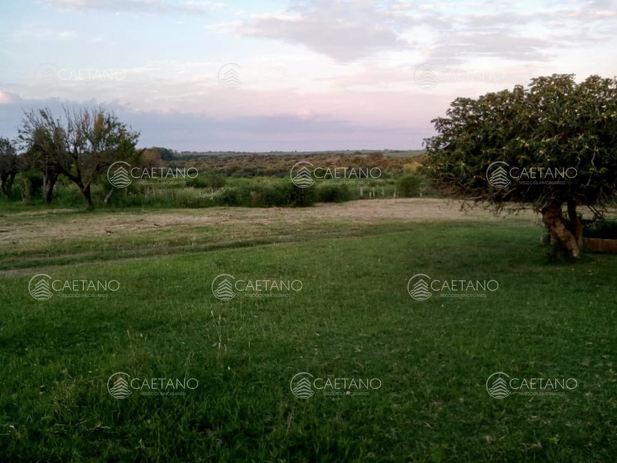 Venta de lotes en Residencial - Las Cañas — foto 2