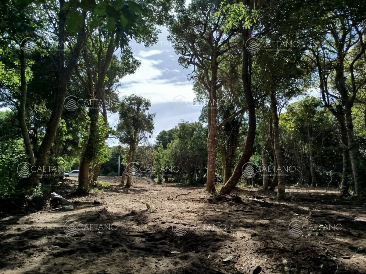 Terreno en venta en Las Grutas — foto 3
