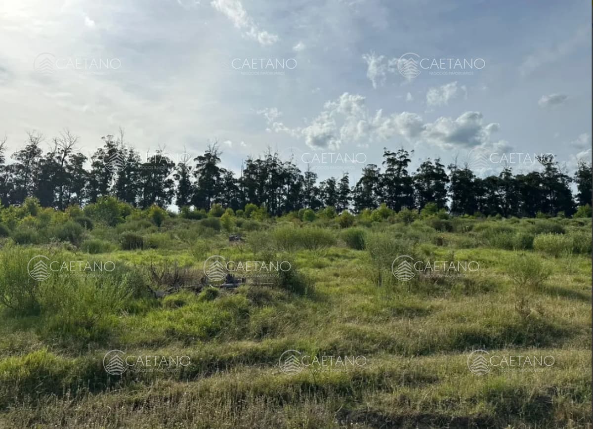 Venta de terreno en Eden Rock — foto 2