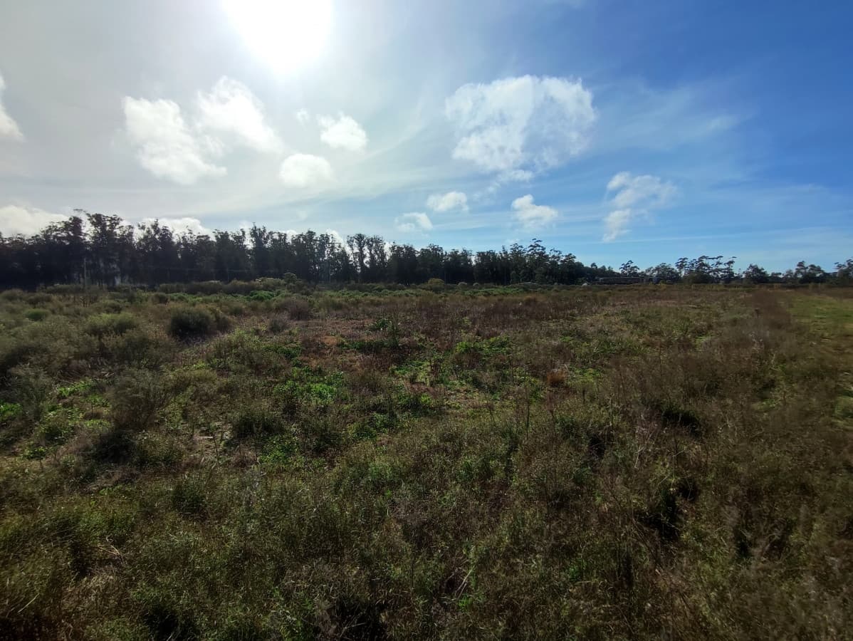 Venta terreno el tesoro, la barra.