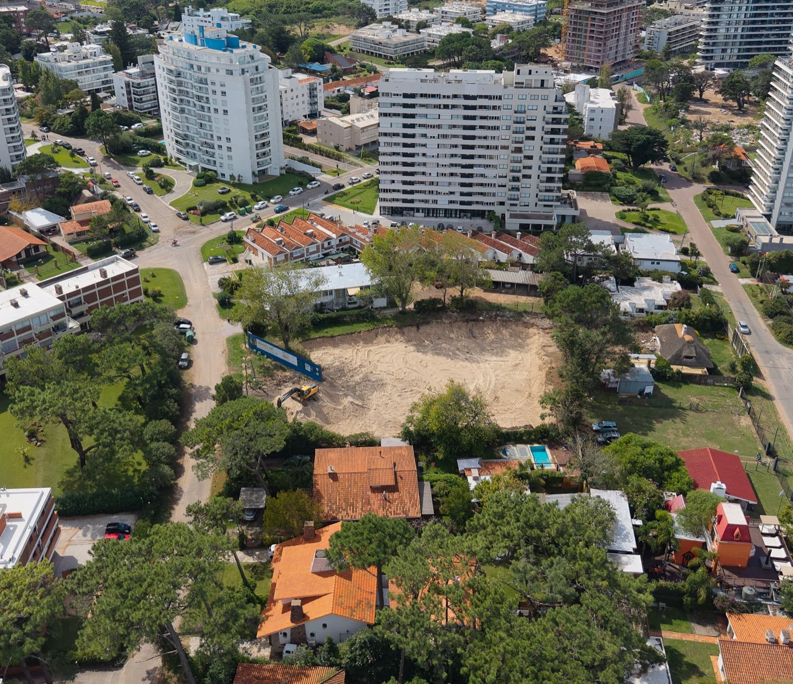 Manglar — imagen 3