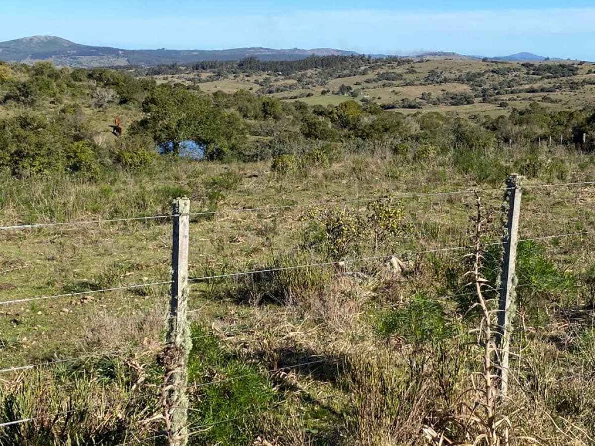 En venta, chacra con vistas panorámicas y monte nativo !!!