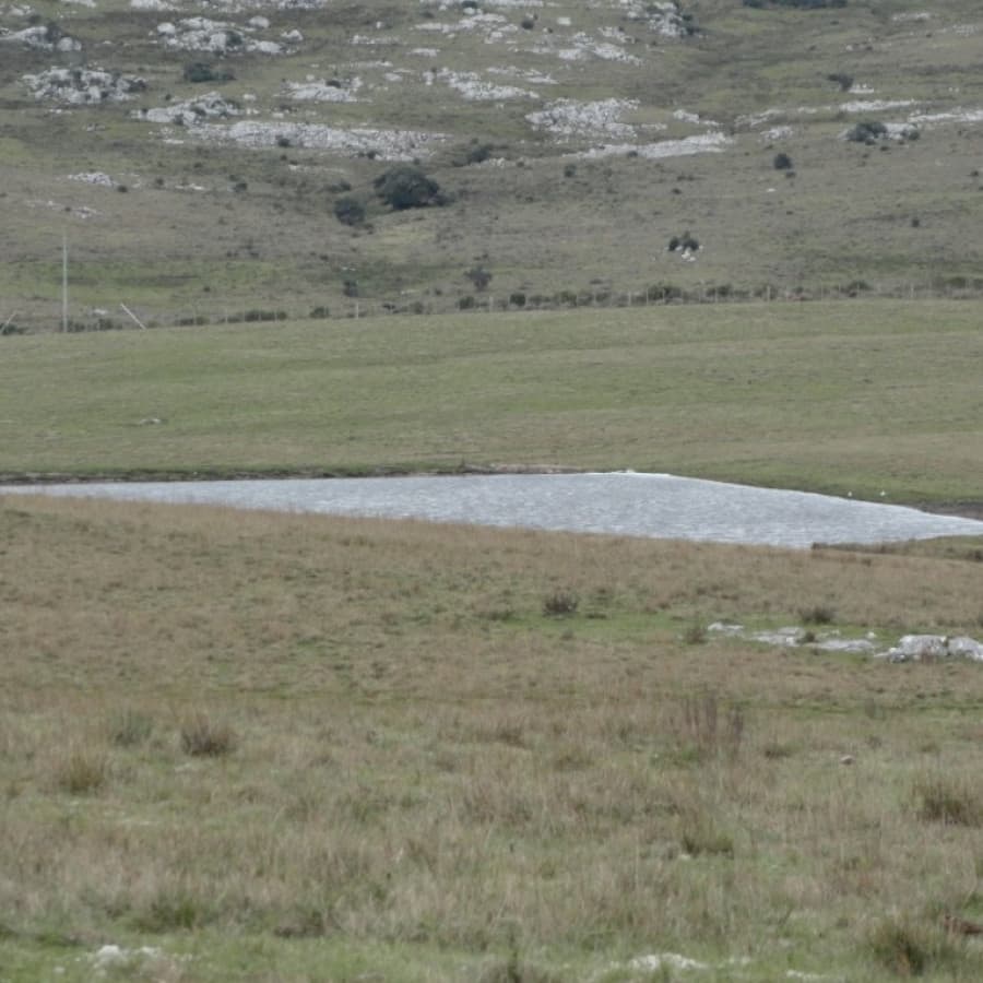 Campo sobre R.12 y a menos de 1 hora de Punta. Suelos 2.12, buenas vistas y gran potencial turístico !