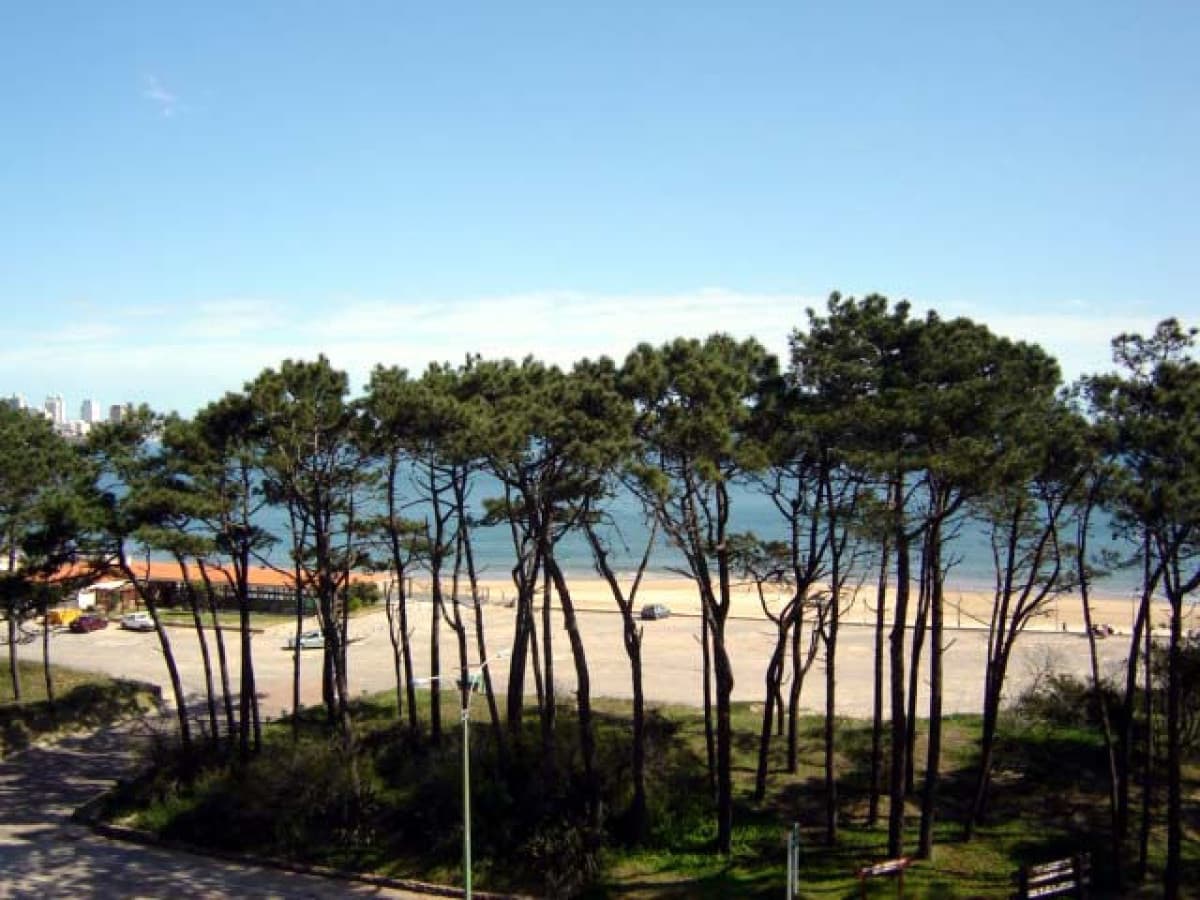 Venta apartamento 3 dormitorios más dependencia. Playa mansa, Punta del Este.
