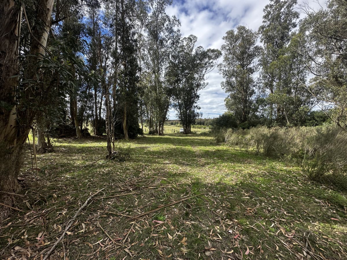 Venta chacra km 116 ruta 9. Cerca de Pan de azúcar