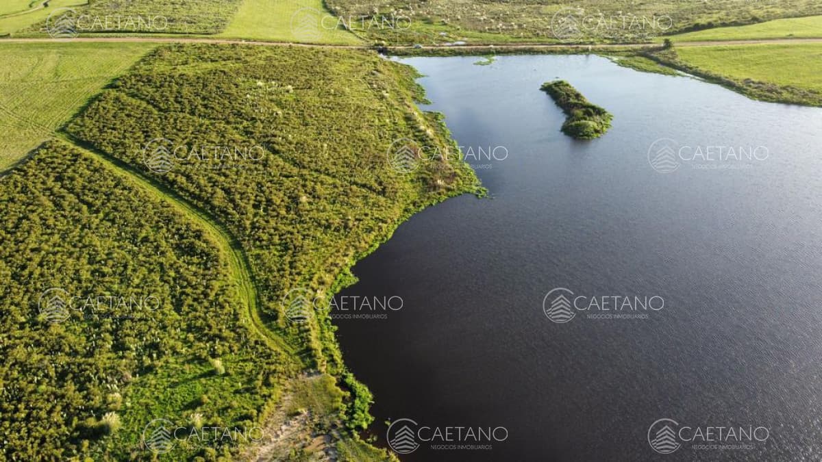 Campo con 300 m de frente a laguna, cuenta con un islote lugar muy pintoresco.