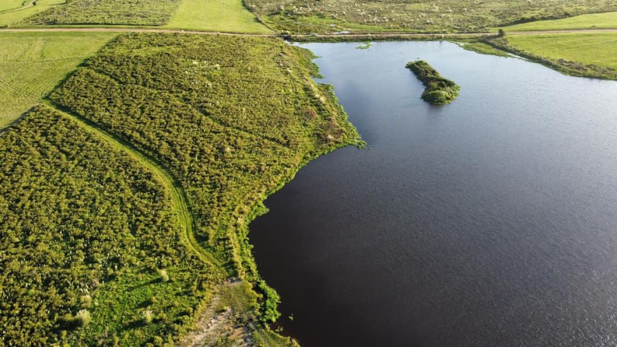 Campo con 300 m de frente a laguna, cuenta con un islote lugar muy pintoresco.
