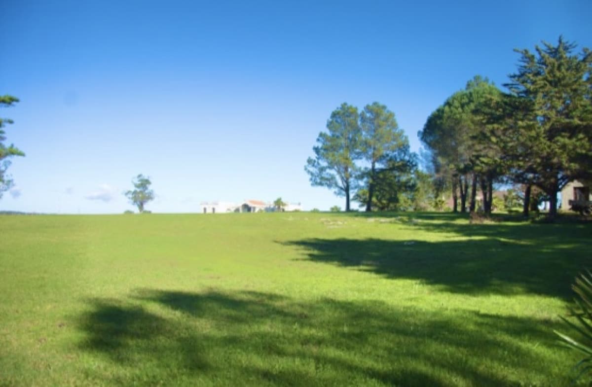 Chacra importante en R. 39 con 700 m2. construidos