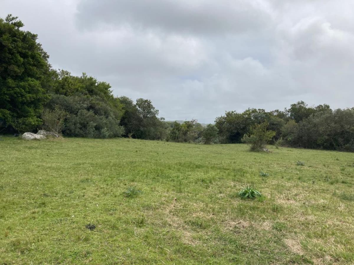 Venta chacra 7 hectáreas, Ruta 39