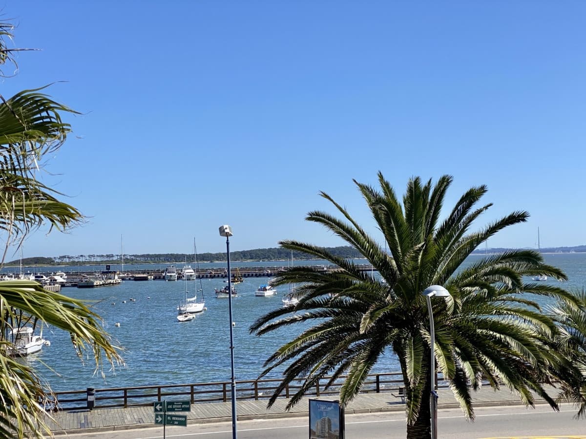 Apartamento en alquiler en Punta del Este
