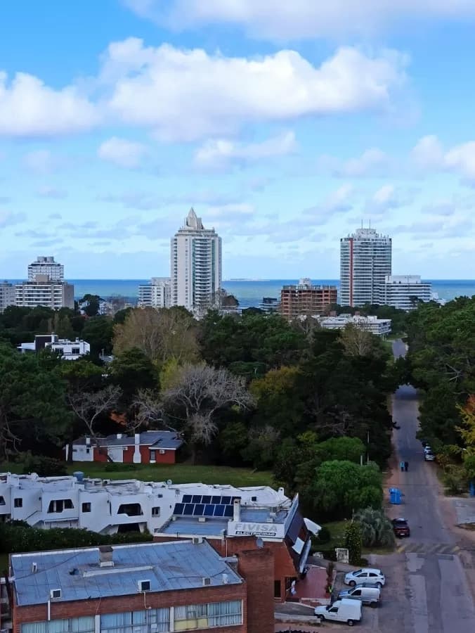 Apartamento en alquiler en Punta del Este