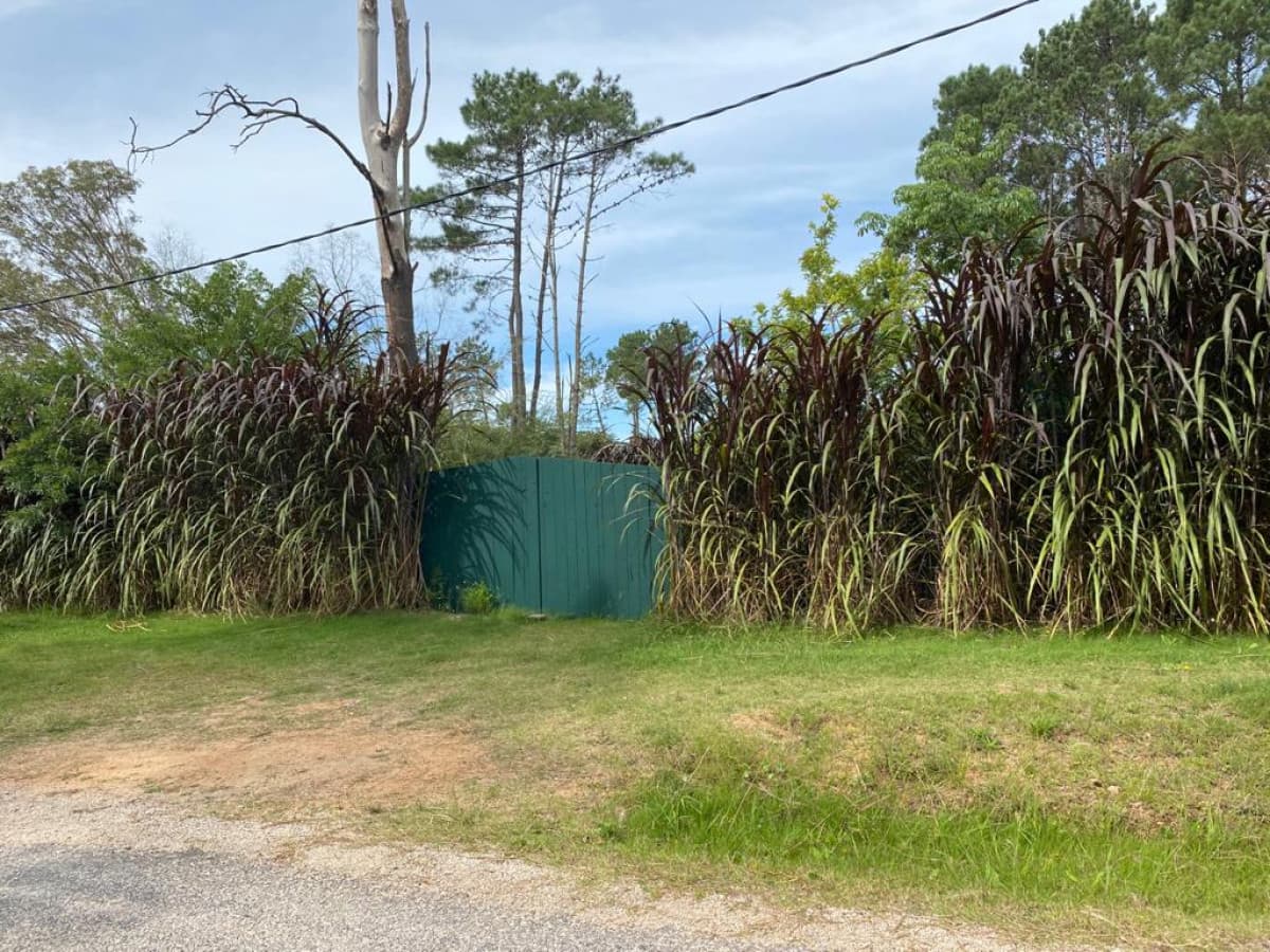 Hermoso terreno en Golf, Punta del Este