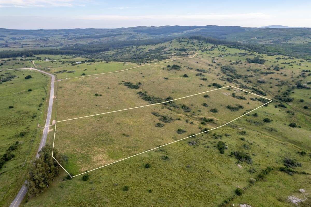 Chacra cerca de Pueblo Edén