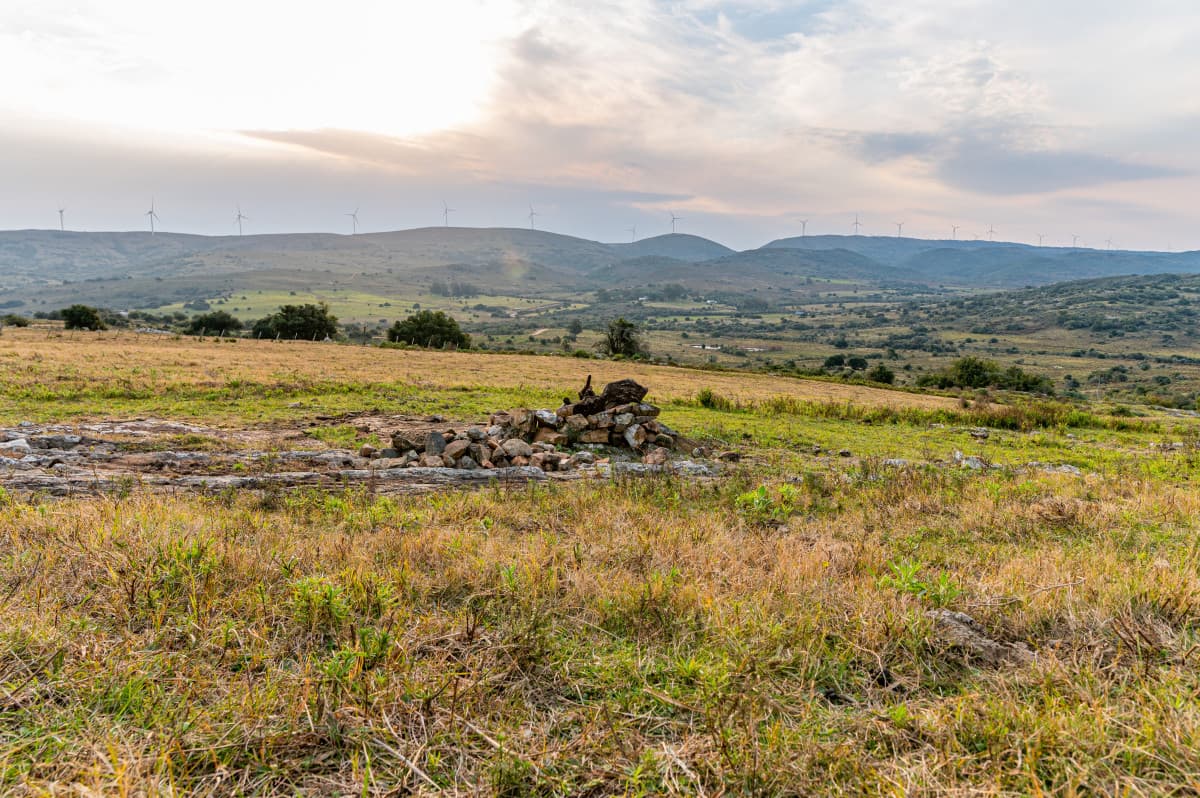 Venta chacra 11 hectáreas Ruta 39 Maldonado