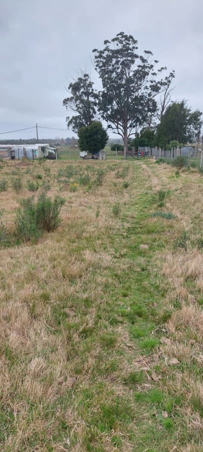Oportunidad inversión Venta Chacra con Vivienda Camino Los Ceibos