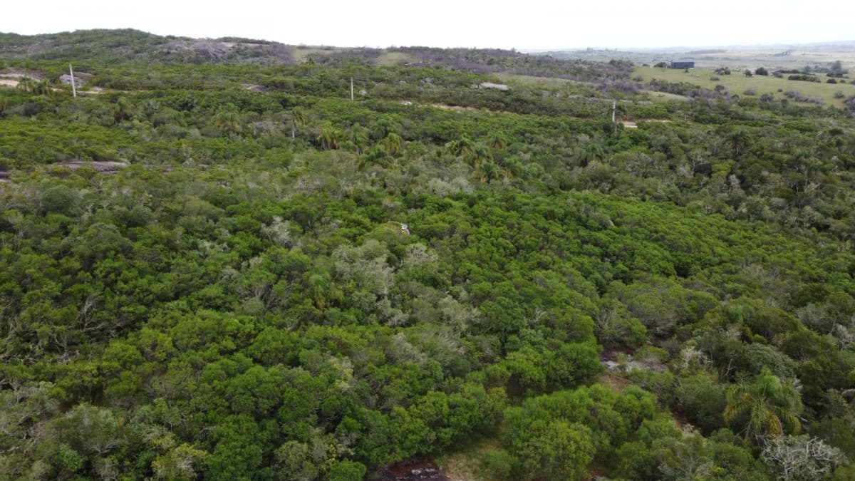 Chacra de 11 Hectareas y media en garzon