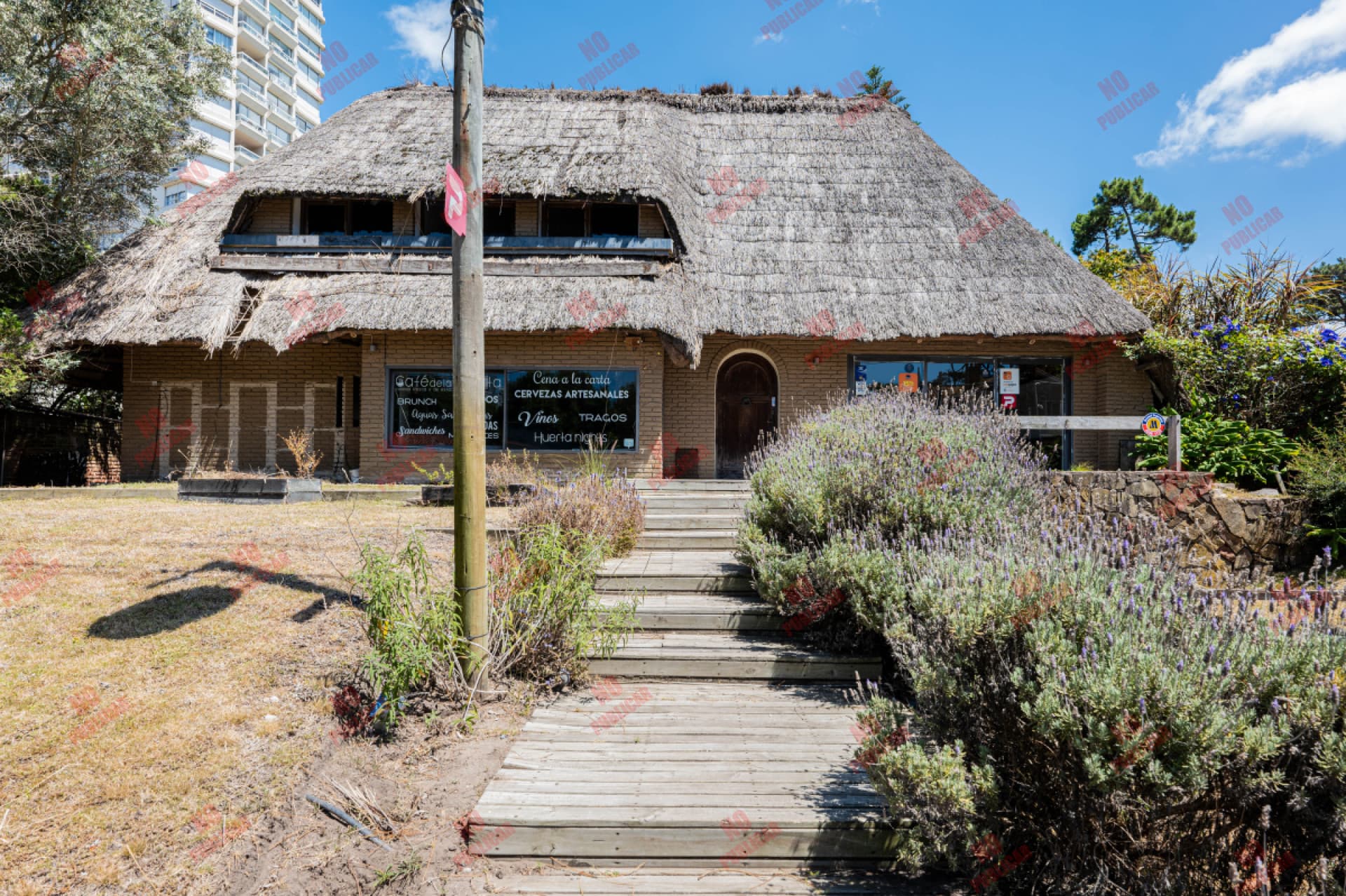 Local en alquiler en Punta del Este