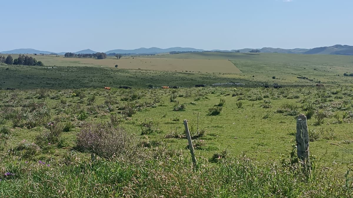 Venta de Chacra en ruta 12