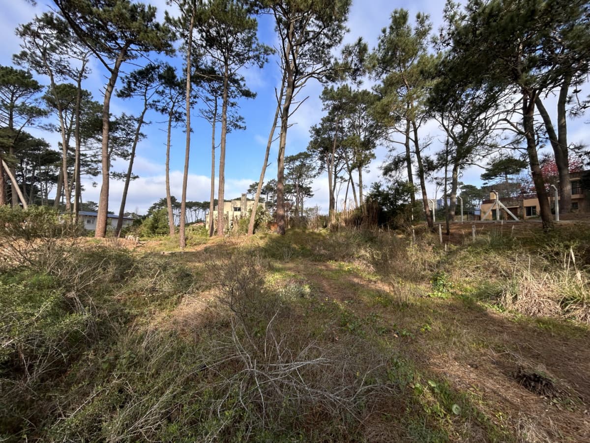 Venta de terreno en Laguna Blanca