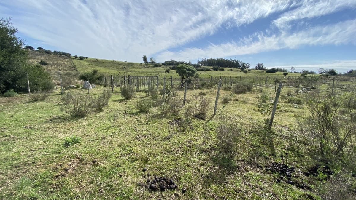 Oportunidad en Paraje Las Cañas !!!
