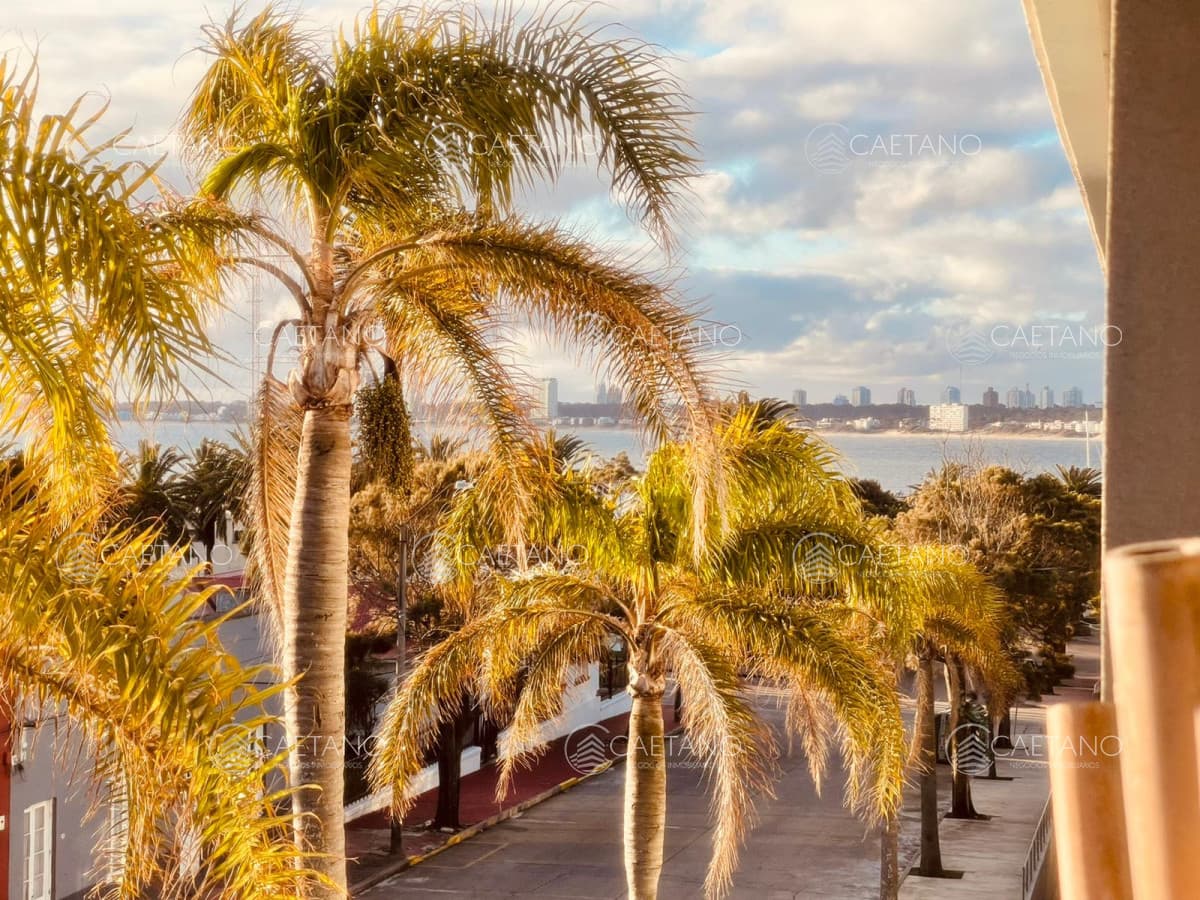 Venta de apartamento a pasos del puerto , 1 dormitorio