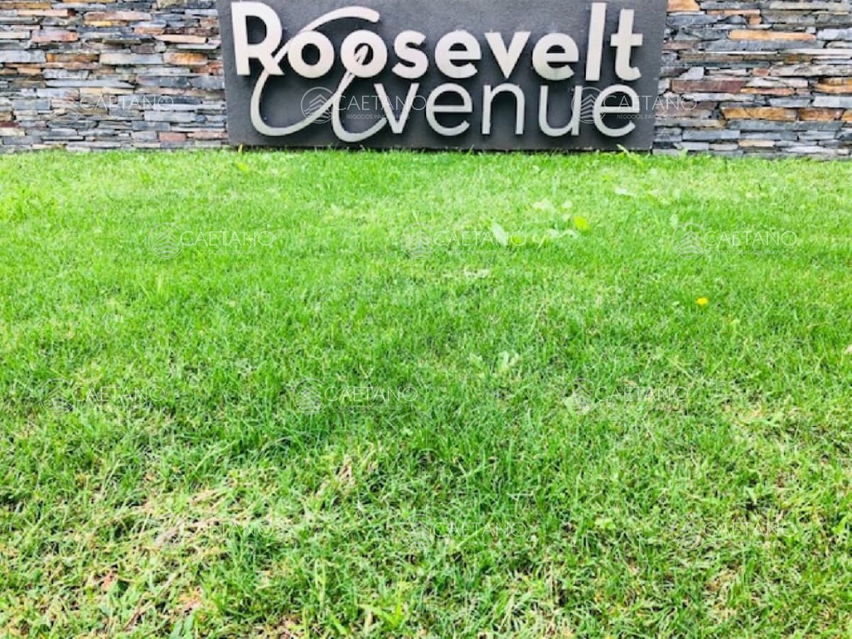 ROOSEVELT AVENUE