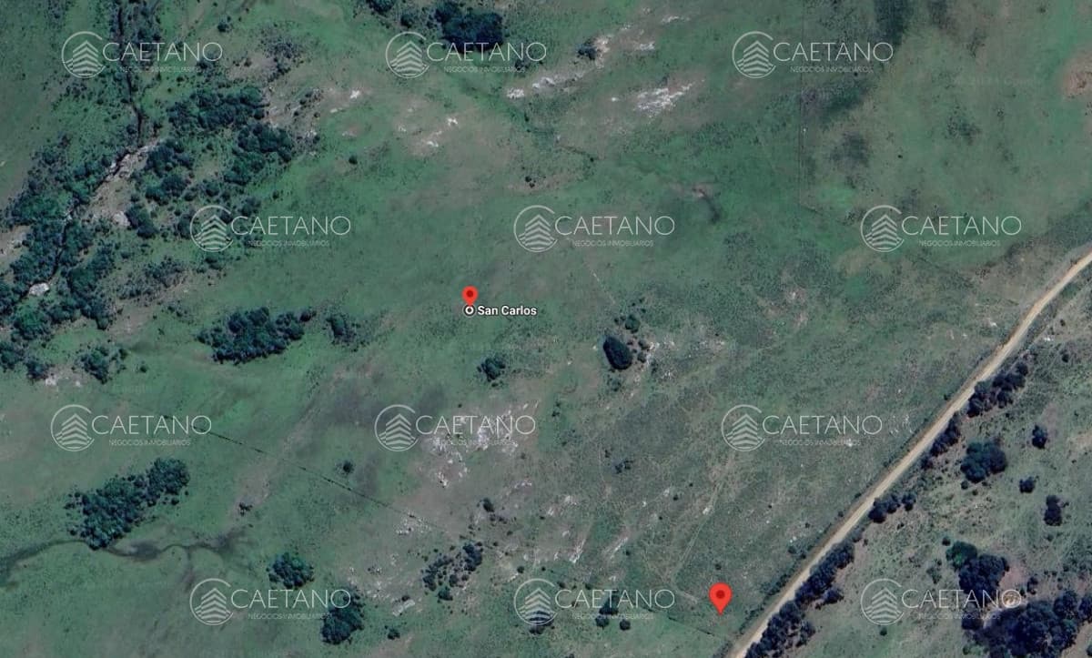Chacra de 7 has en Corte de la leña.