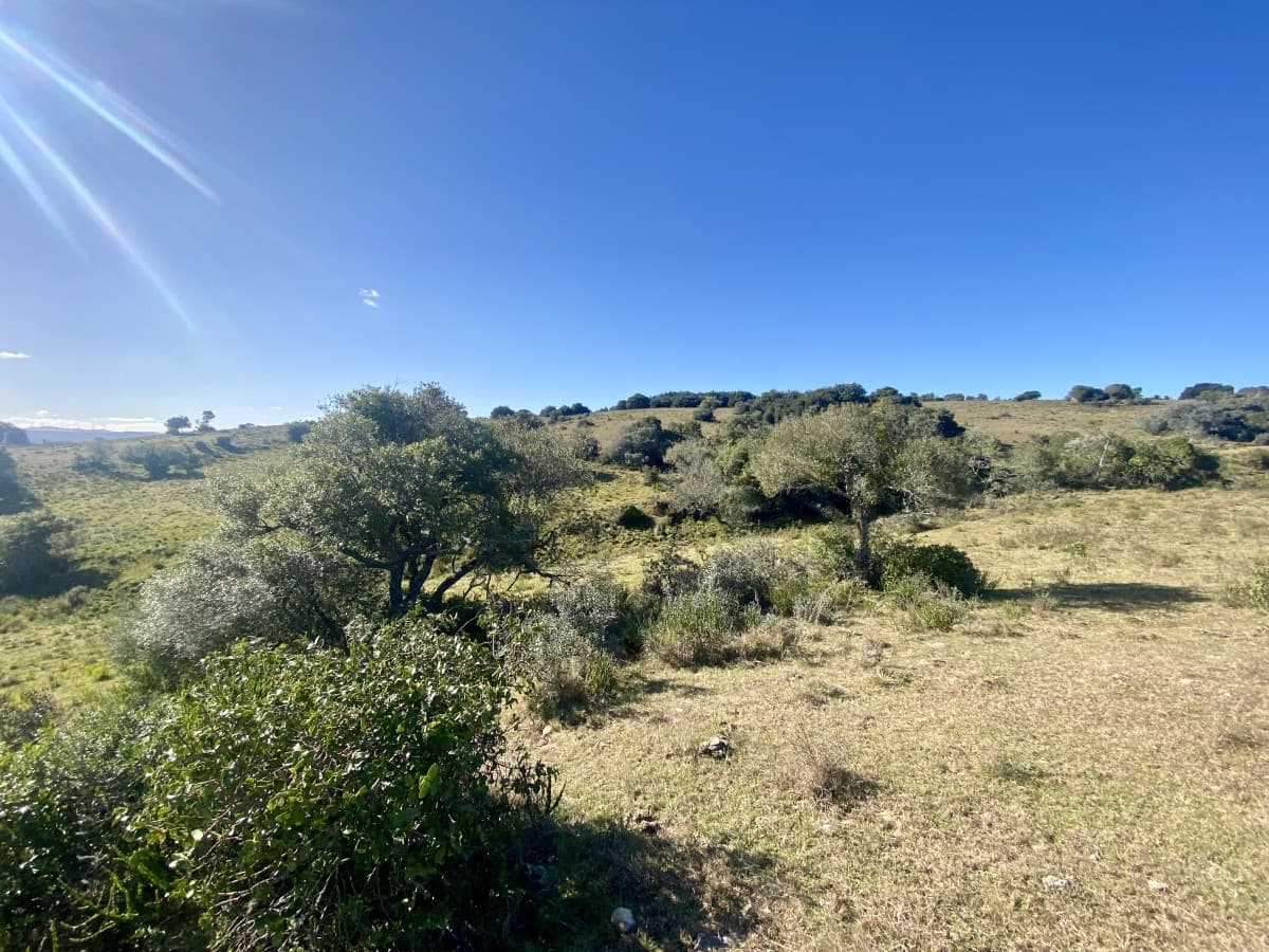 Venta chacra 5 hectáreas. Maldonado