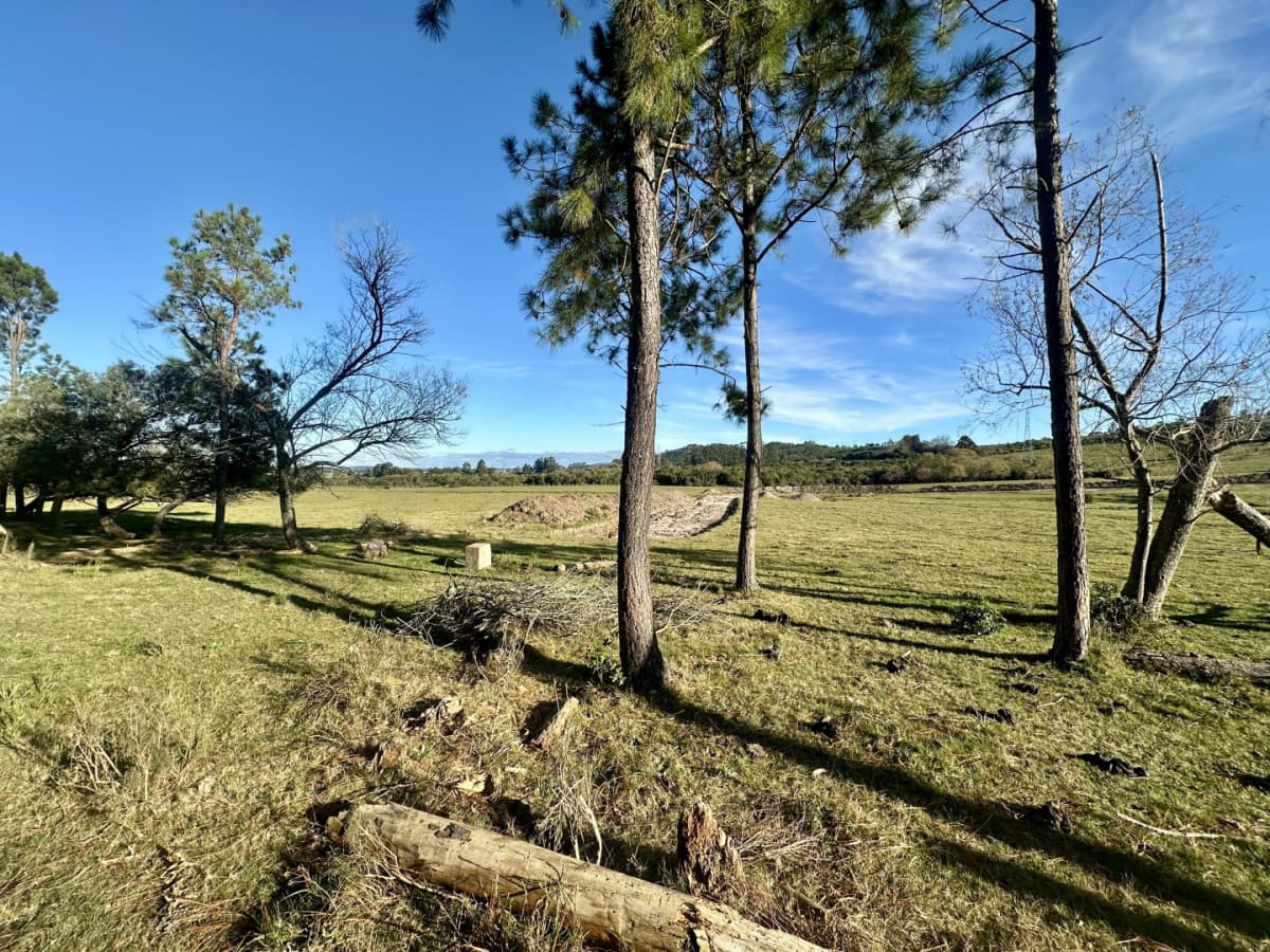 Venta Chacra la Pataia, Punta Ballena.