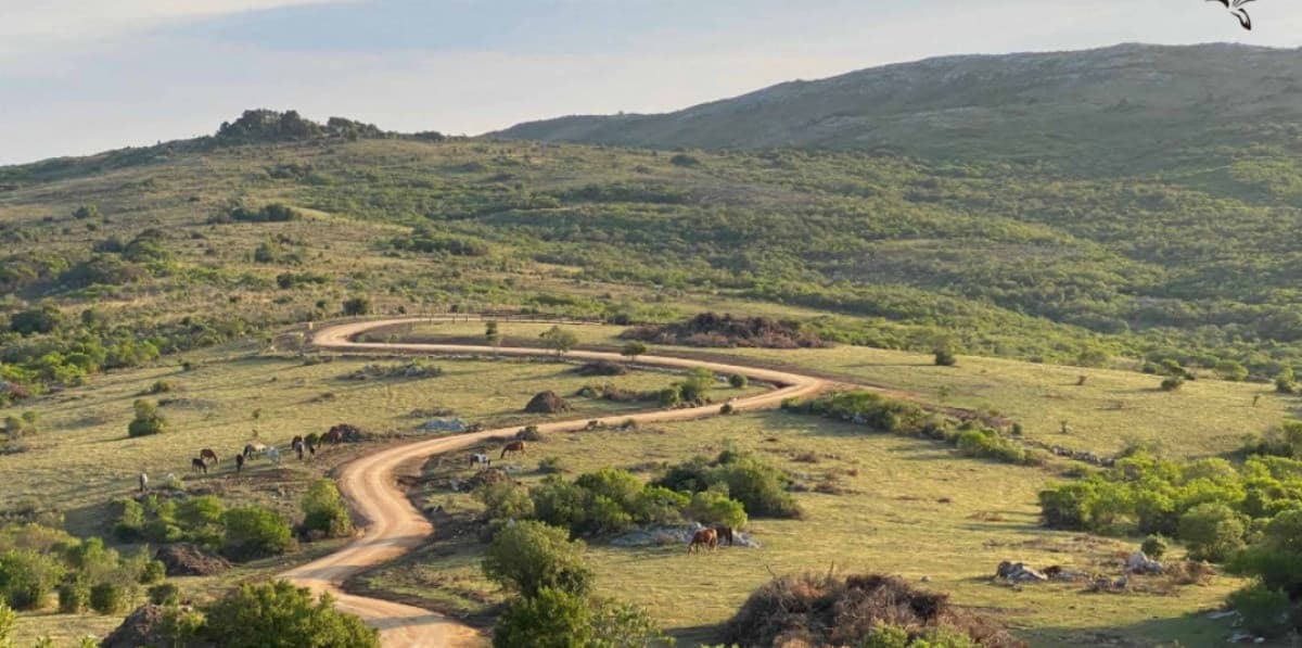 Las Taperas Chacras, Pueblo Edén
