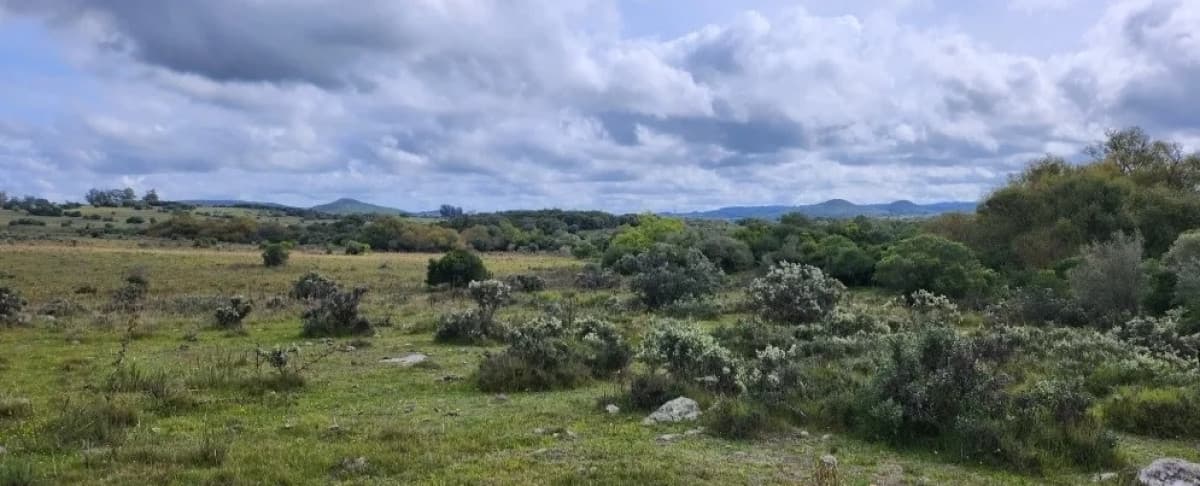 venta chacras ruta 12 Maldonado