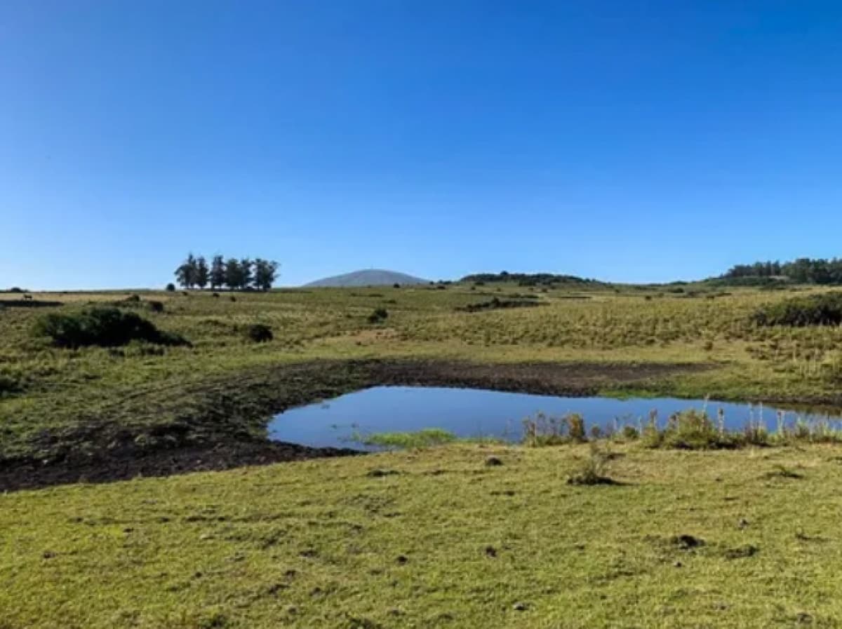 Chacra 5 hectáreas ruta interbancaria Maldonado