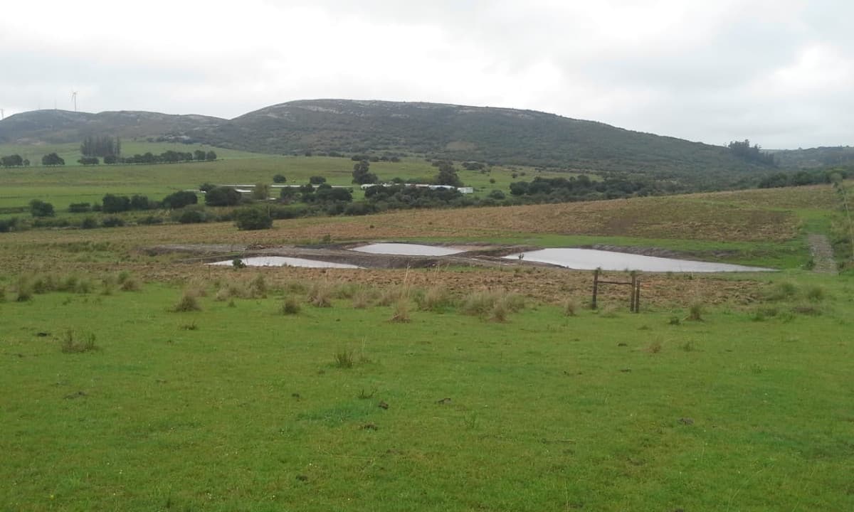 Chacra de 7 has en venta en Sierra de los Caracoles