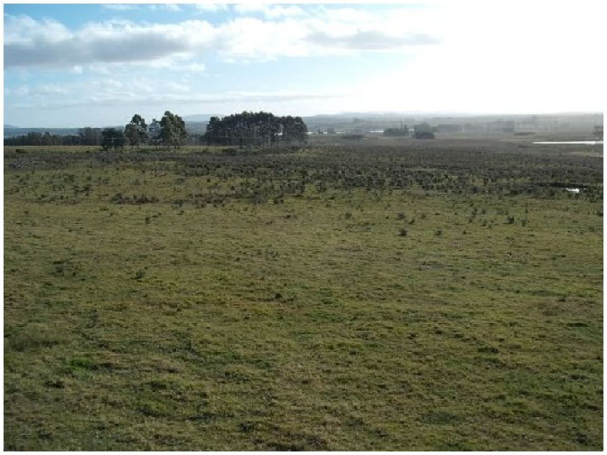 Vendo chacra 5 hectareas, a metros de ruta 12, entre Solanas y Ruta 9.