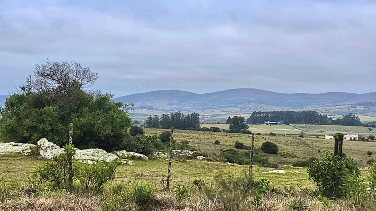 Venta chacra Pueblo Edén 5.5 hás