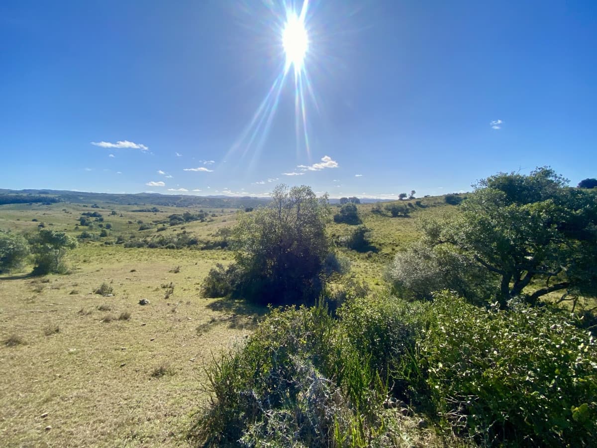 Venta chacra 5 hectáreas. Camino del Olivo, Pueblo Edén.