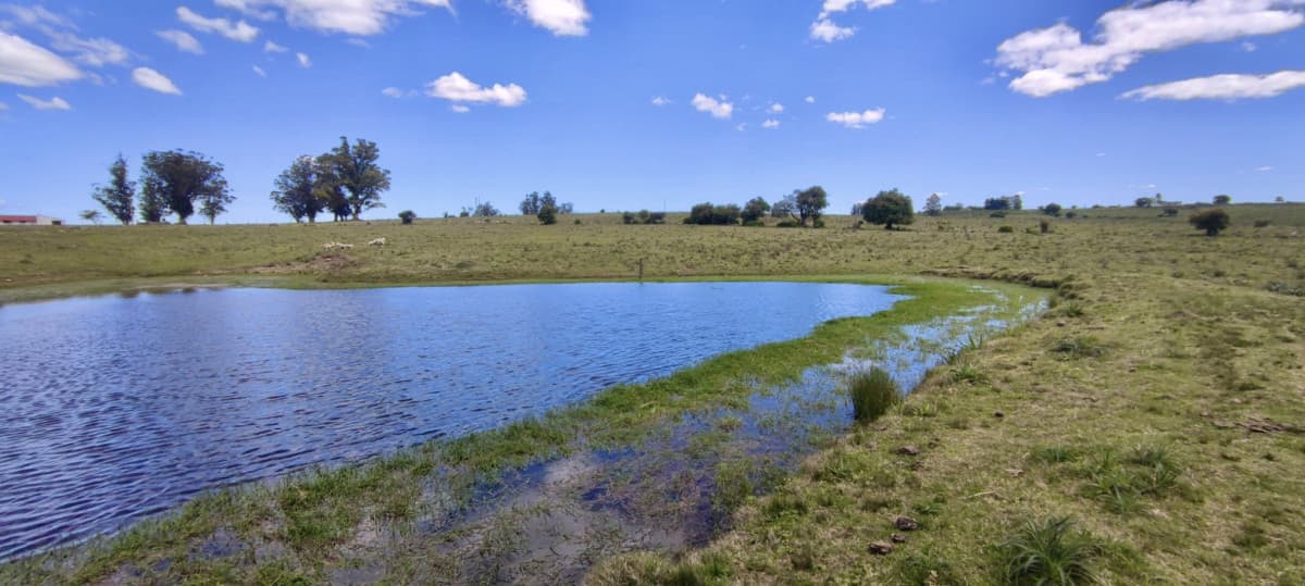 Venta 47has con casa, costa de arroyo y 5 tajamares
