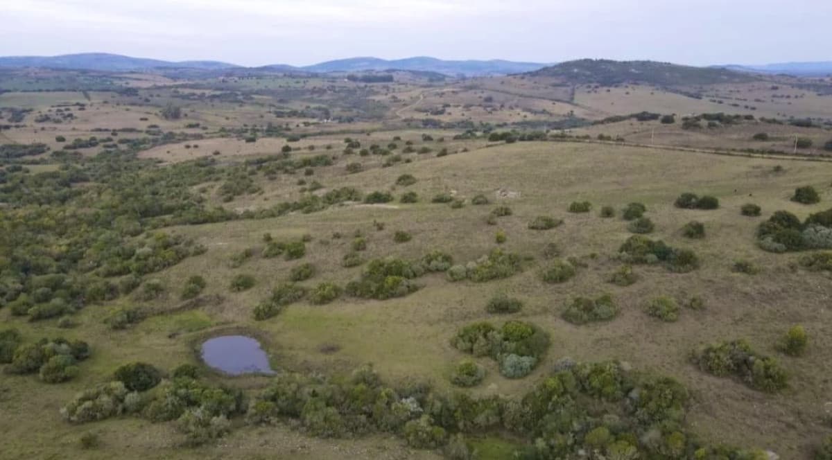 Venta chacra 36has Pueblo Eden