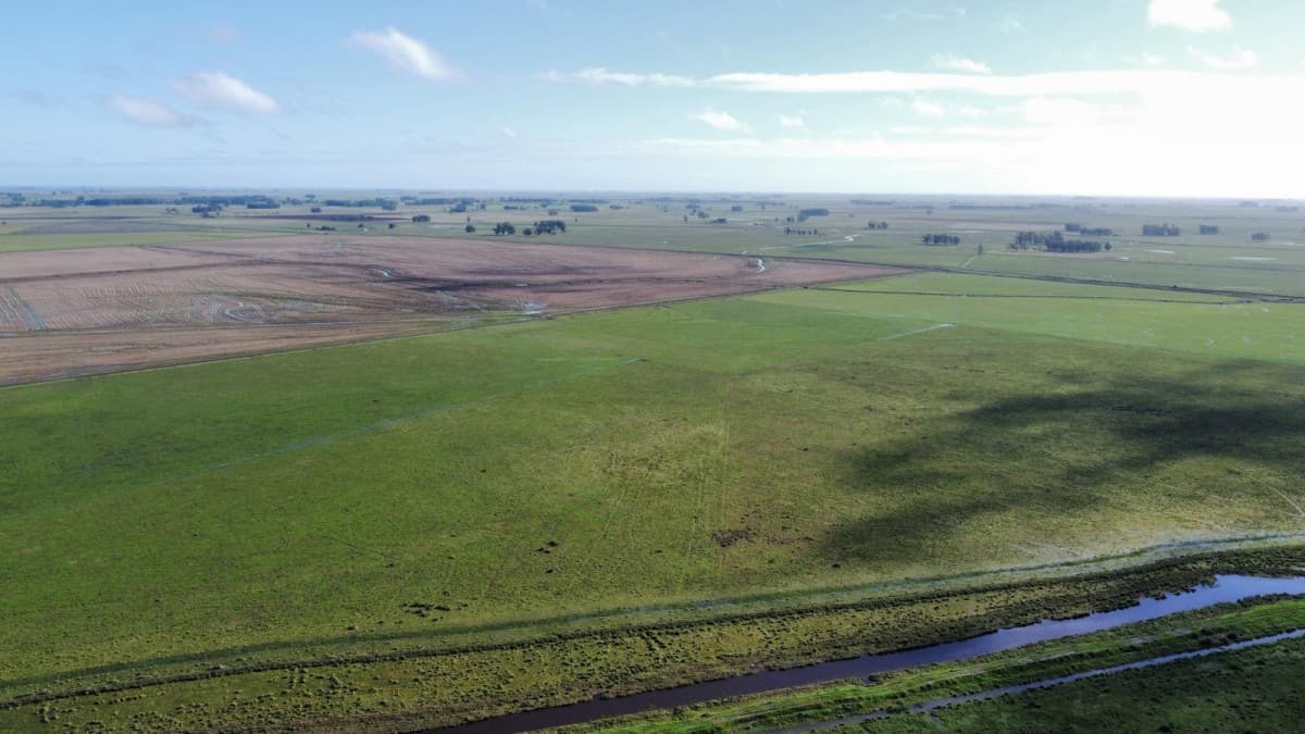 Venta campo agricola ganadero, Lascano Rocha
