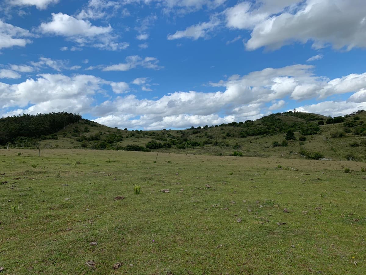 Campo en venta 39 has Aigua