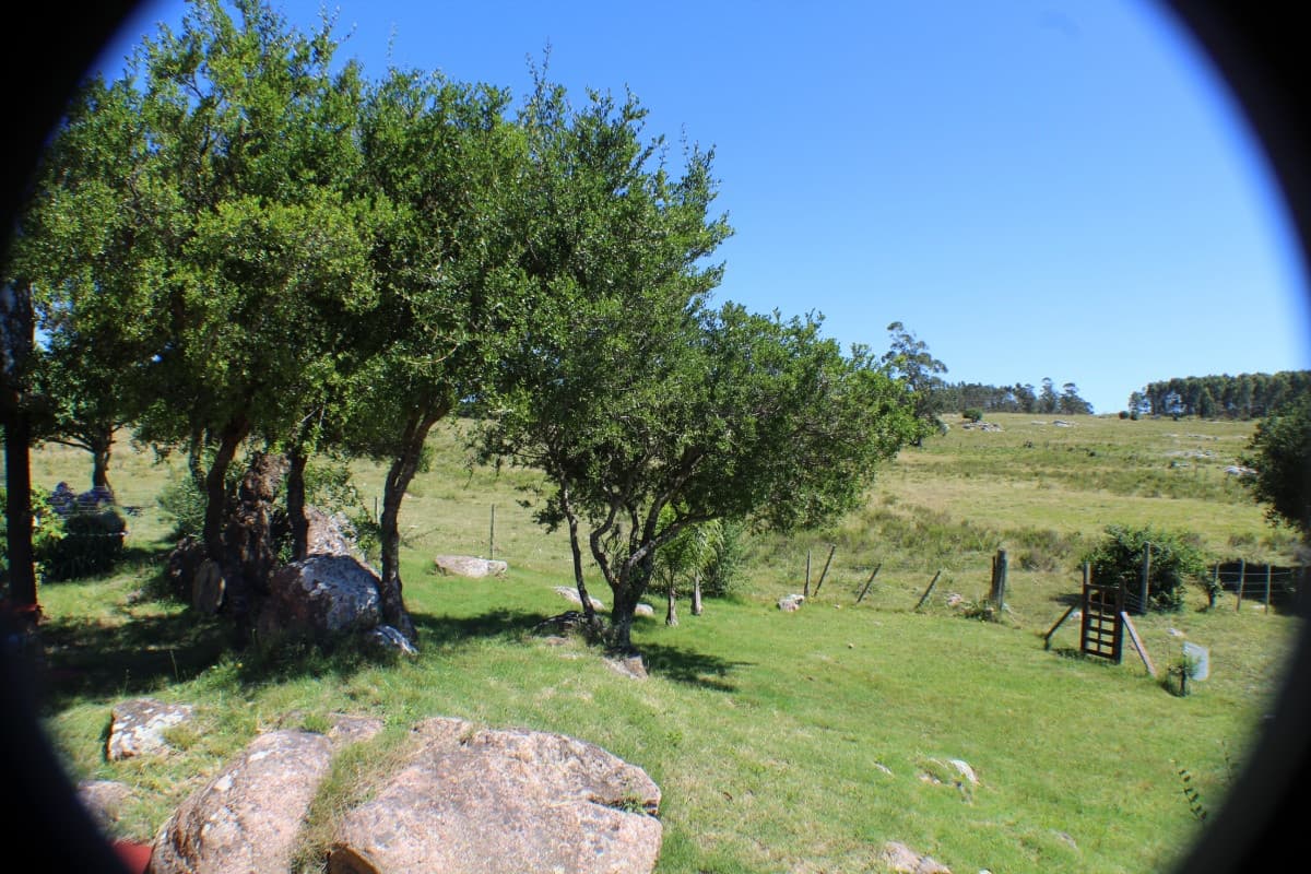 En venta, campo con casa y acceso directo desde ruta 12. Excelentes vistas.