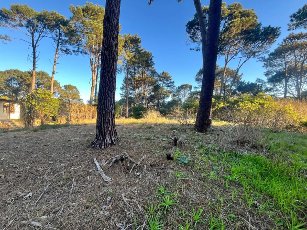 Terreno en venta en Club del Lago, Punta Ballena