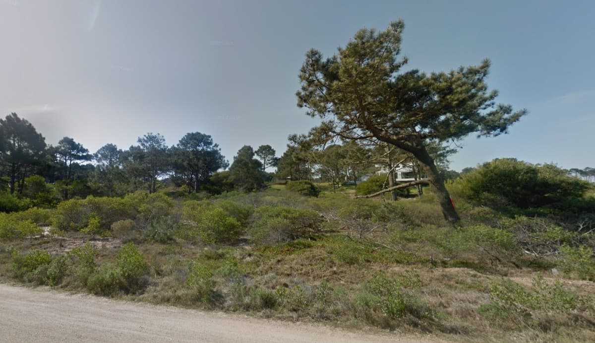Venta terreno en Chihuahua