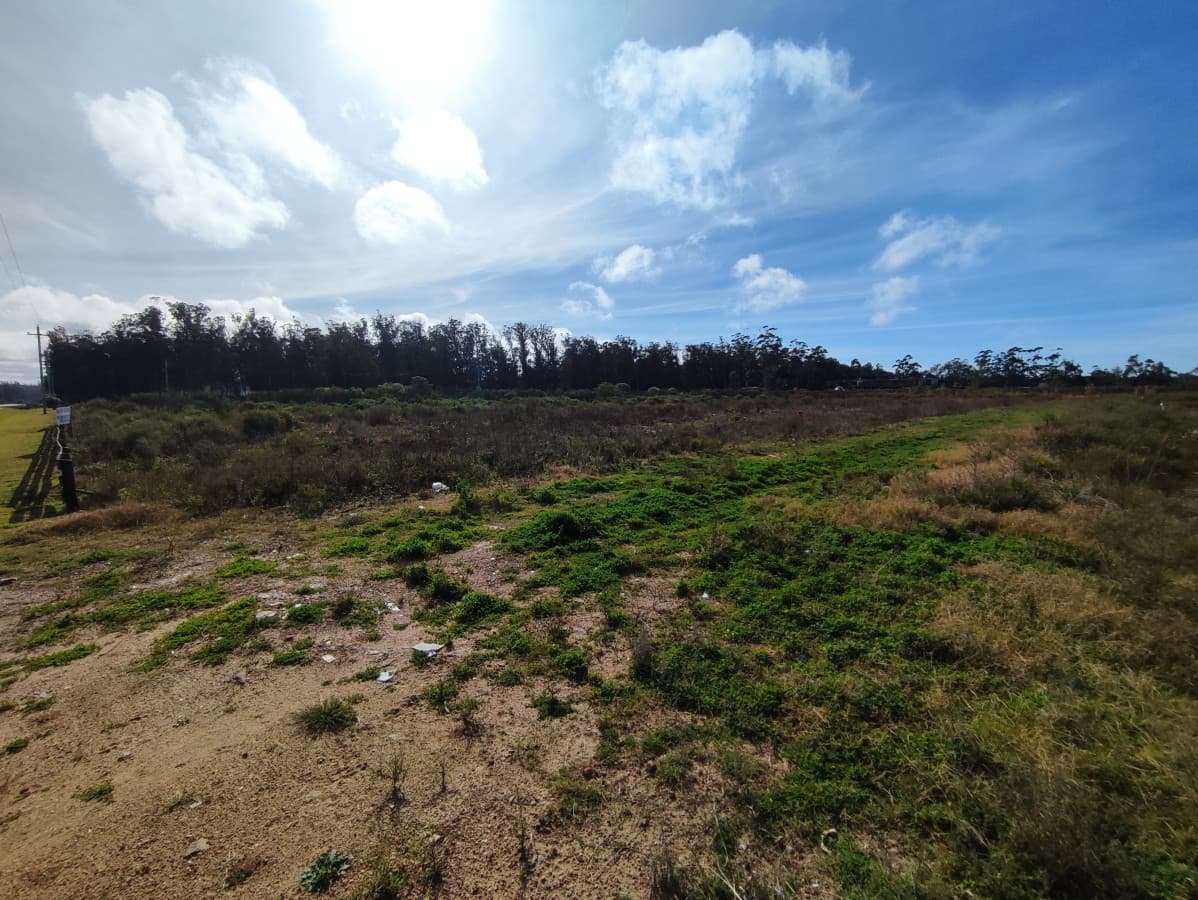 venta terreno la barra