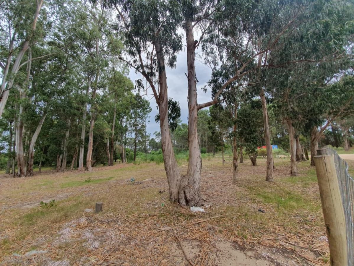 Terreno en venta!